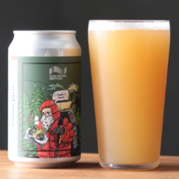 NAMI NO OTO BREWING wild ginger ワイルドジンジャー