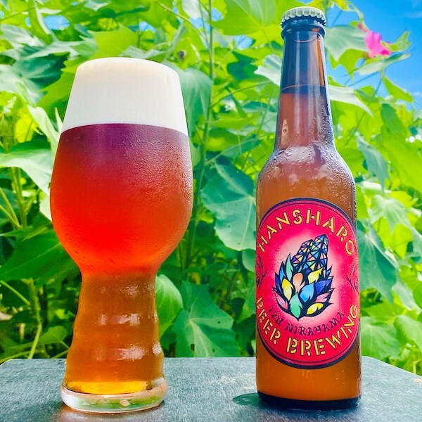 反射炉ビヤ Berry ×2 Session IPA
