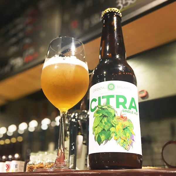 Oriental Brewing シトラ