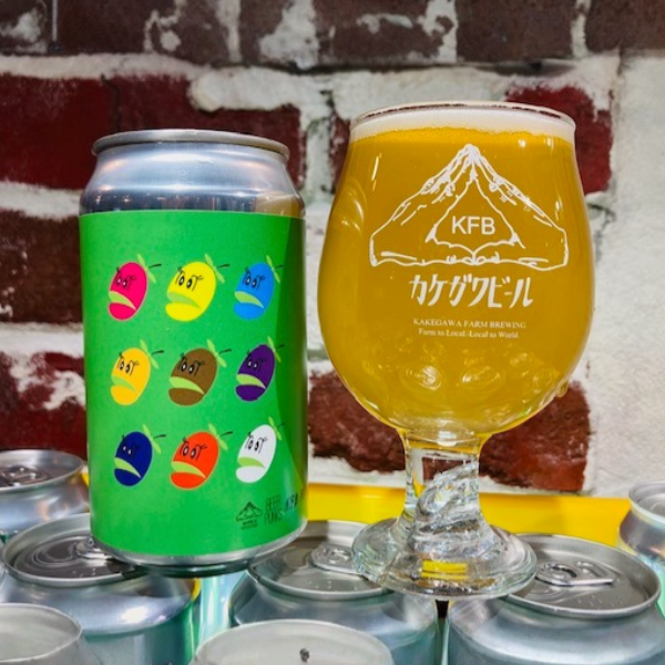 Kakegawa Farm Brewing サンデーキウイ